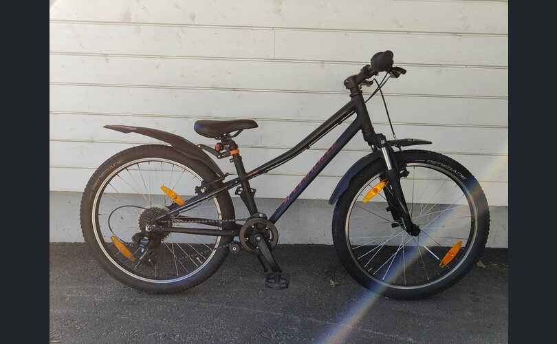 Specialized 24