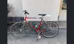 Tunturi Vip / Singlespeed-kuva-1